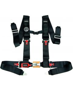 Tanaka Latch and Link 4-Point Safety Harness Set