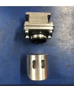 FL250 Reed Valve & Piston Kit